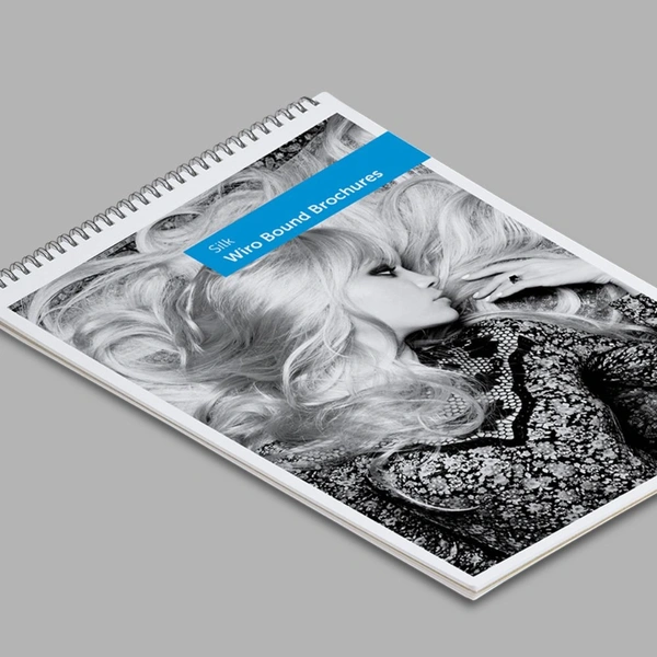 Brochure Wiro Silk